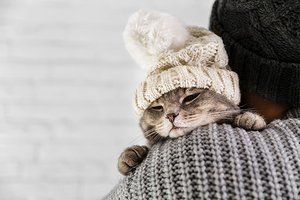 Как выбрать зимнюю шапку?